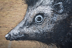 Street Art London 2013