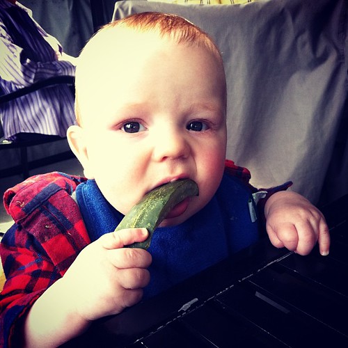 #finneganfrancis is a cheap date. Just chomping a pickle spear.