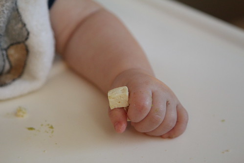 Tofu in Elliott's Hand