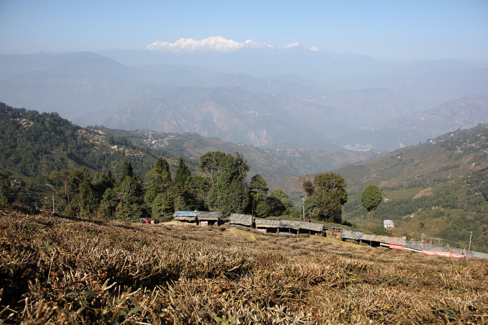 View near Darjeeling, India