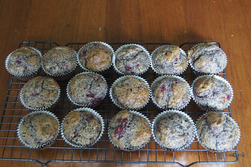 Raspberry and Chocolate Muffins DSC09933