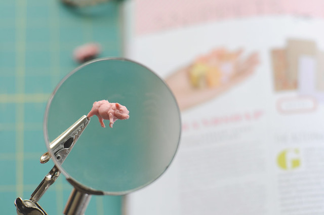 how to view a teeny pig