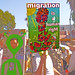 1May2013 19 migration 724