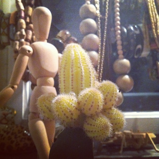 Idag köpte jag en ny kaktus med många bollar!