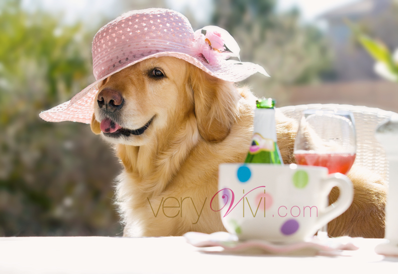 Who's In The Mood for a Spring Tea Party?