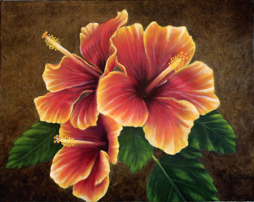 Hibiscus by Sid's art