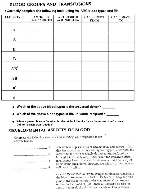 Blood Type Worksheet