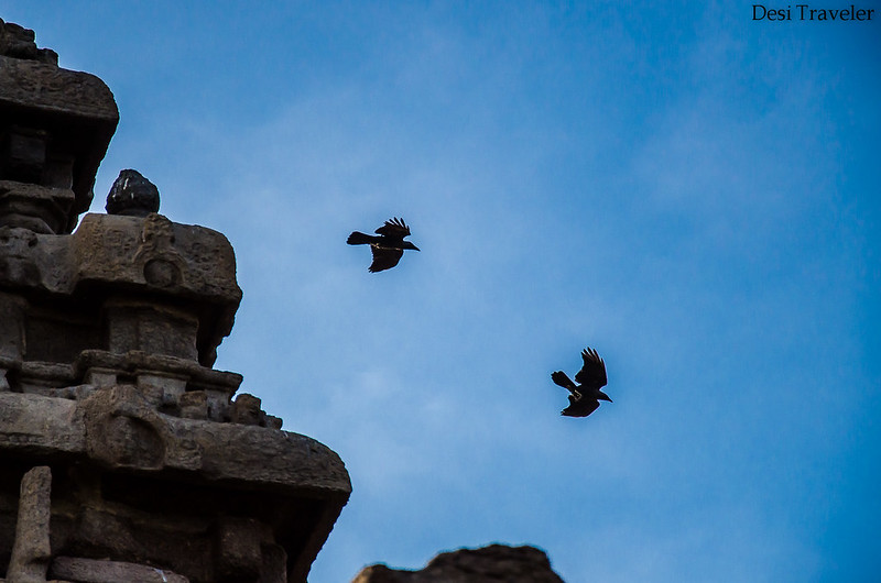 Shore Temple Mahabalipuram Tamil Nadu with birds flying near top of temple