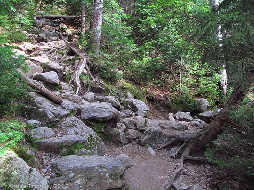 The Gorge Trail Junction: the Ammonoosuc Ravine Trail goes left, The Gorge Trail goes right, White Mountain National Forest, New Hampshire