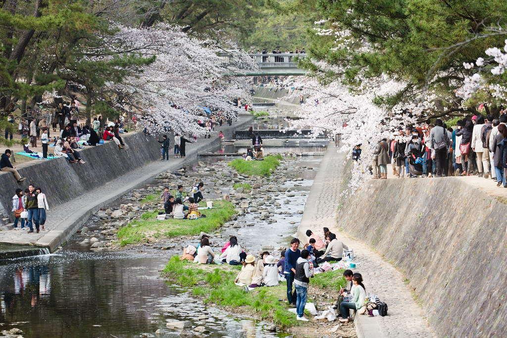 Стильные японцы под цветущей сакурой и сакура над рекой Nishinomiya-shi, Hyogo Prefecture, Japan, 0.006 sec (1/160), f/5.0, 146 mm, EF70-300mm f/4-5.6L IS USM