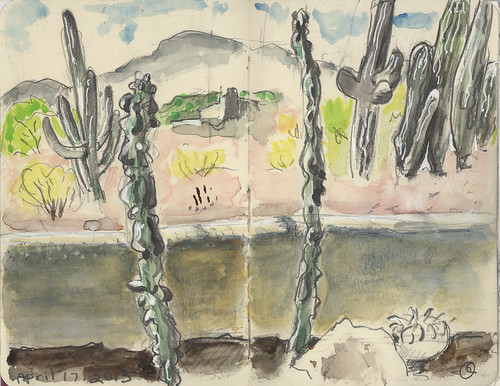 Cactuses Inside Adobe Wall, Saguaro Outside