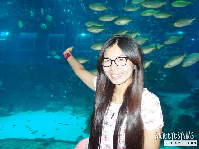 sea aquarium marine life park resort world sentosa singapore (65)