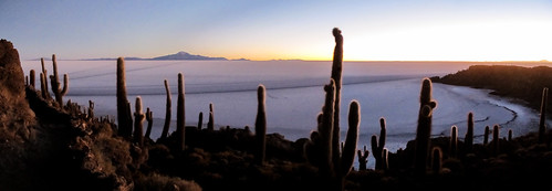 Le Salar d'Uyuni: la Isla Incahuasi