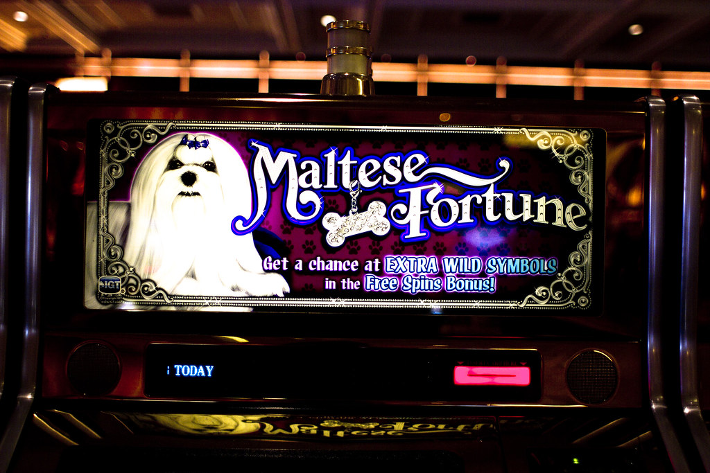 Maltese Fortune slots