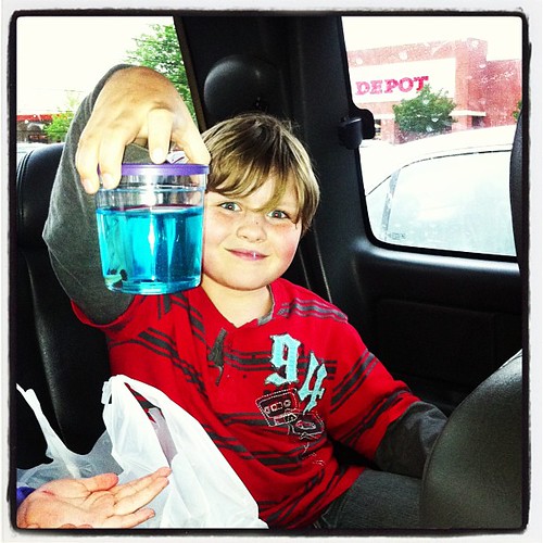 Crazed with joy over his brand new pet, a female betta fish.