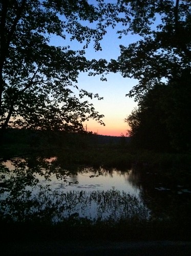 [61/365] Swamp Sunset 1