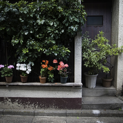 Ledge with Potted Plants, and Potted Plants Door, Monzennakacho