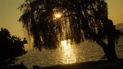 Silhouettes: stretch, willow in the golden sun, Warren G. Magnuson Park Boat Launch, Lake Washington, Seattle, Washington, USA by Wonderlane