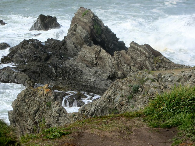 Shore Rocks