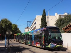 Montpellier  -  Réseau TaM