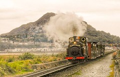 Steam trains at Portmadog. 