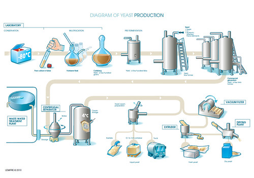 diagram-yeast-production