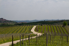 Langhe and Roero