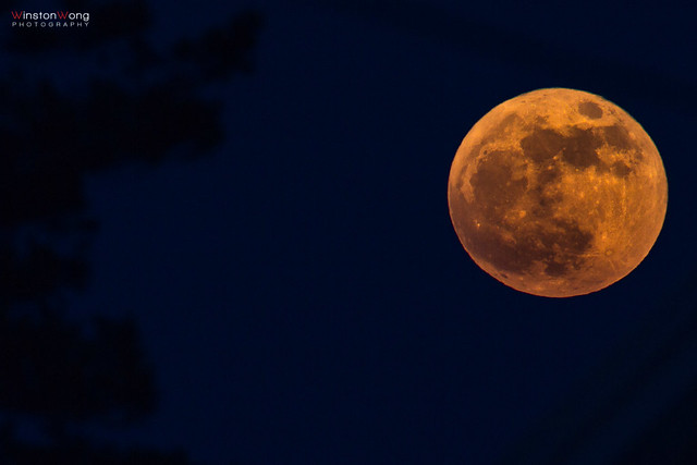 Shoot for the Supermoon 05.05.2012