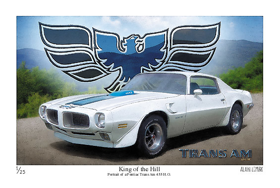 70 to 72 Trans Am print Also available in Lucerne Blue 