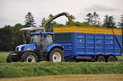 Silage & Maize 2012