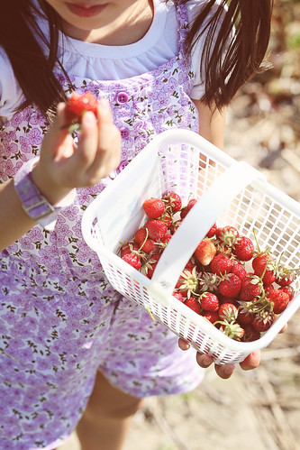 strawberry pickin'