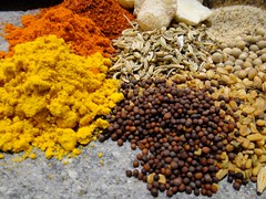 Dhobis,Saris & a spot of Curry (LI)