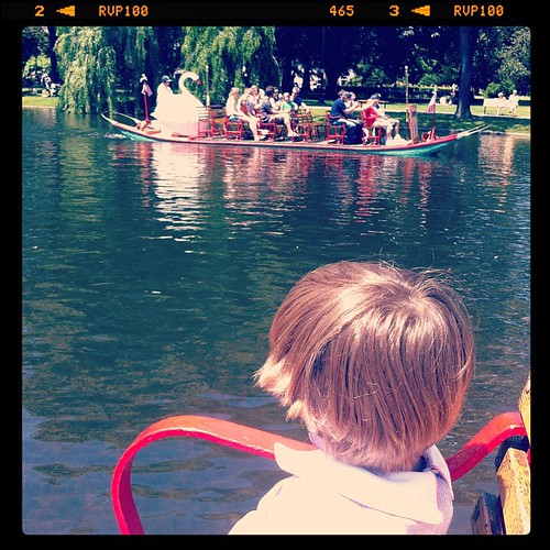 Checking off the bucket list-swan boat ride in Boston Gardens