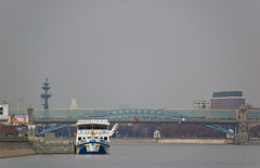 Pushkinsky Bridge