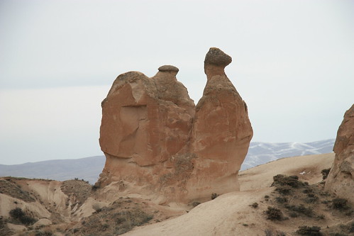 駱駝岩