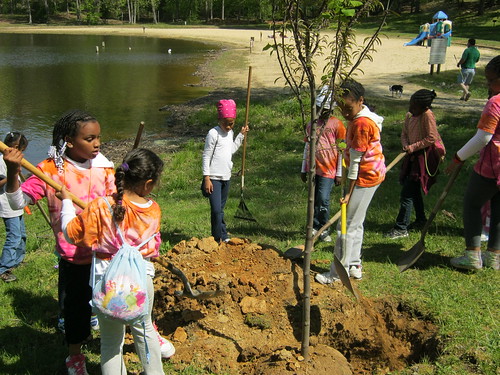 Young volunteers help plant a tree at the lake's edge.