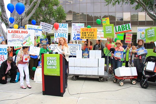 GMO Labeling in California