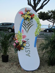 05.19.12 34th Annual Visitor Industry Charity Walk