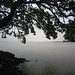 Lake Tana impressions - IMG_0528
