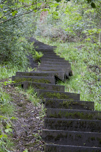 Steps leading to .... 