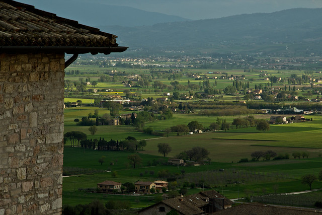 View from Assisi - Green Fields