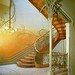 Victor HORTA歐塔1892-95Hotel Tassel-Bottom of staircase2