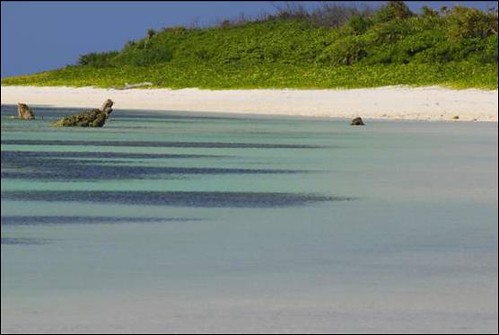 東沙島擁有廣大以及未受人為干擾的沙灘是海龜最佳的產卵地。（圖片來源：海洋國家公園管理處）