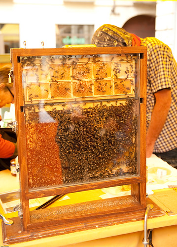 Bees in the Market