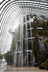 .: Cloud Forest & Flower Dome :. 