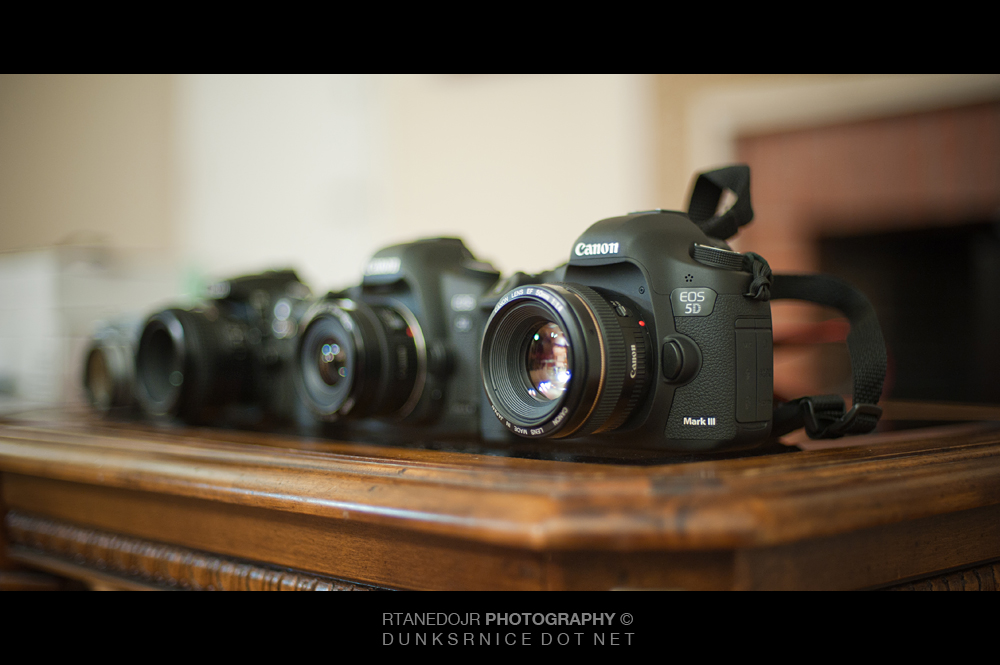 215 of 366 || Canon 5D MK III.