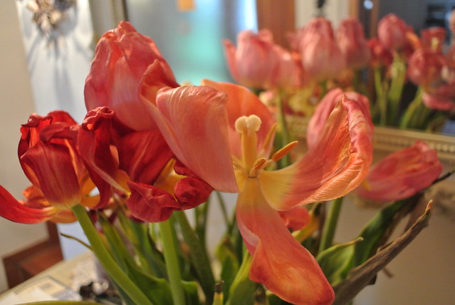 Morbid Tulips