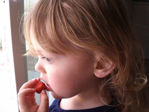Lily eating the first strawberry from my garden