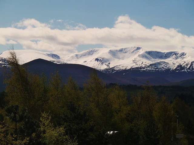 Snow-Capped Cairngorm Mountains, Aviemore