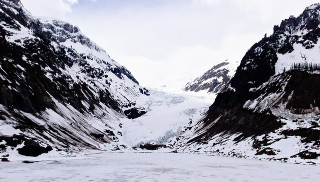Panorama: Bear Glacier